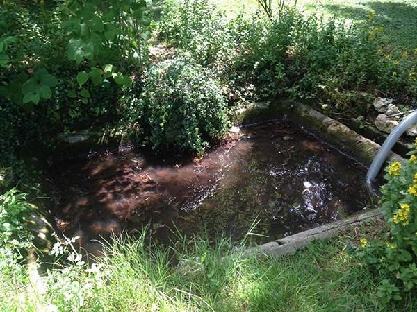 Travaux d'entretien d'assainissements autonomes Chagny